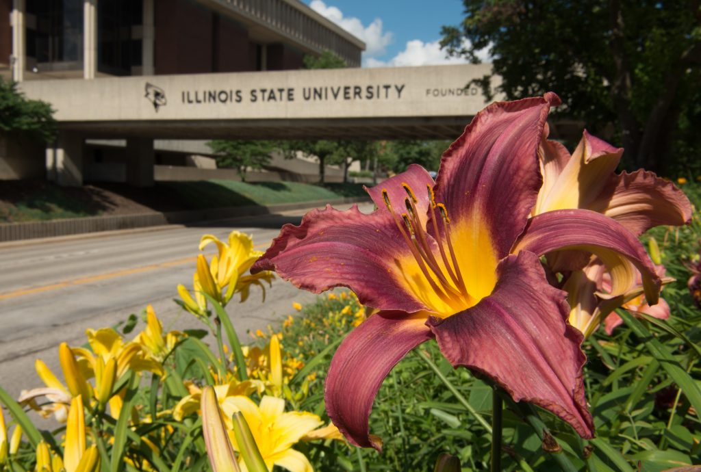 Illinois State University campus with flowers