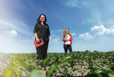 Two Agriculture professors standing in a corn field