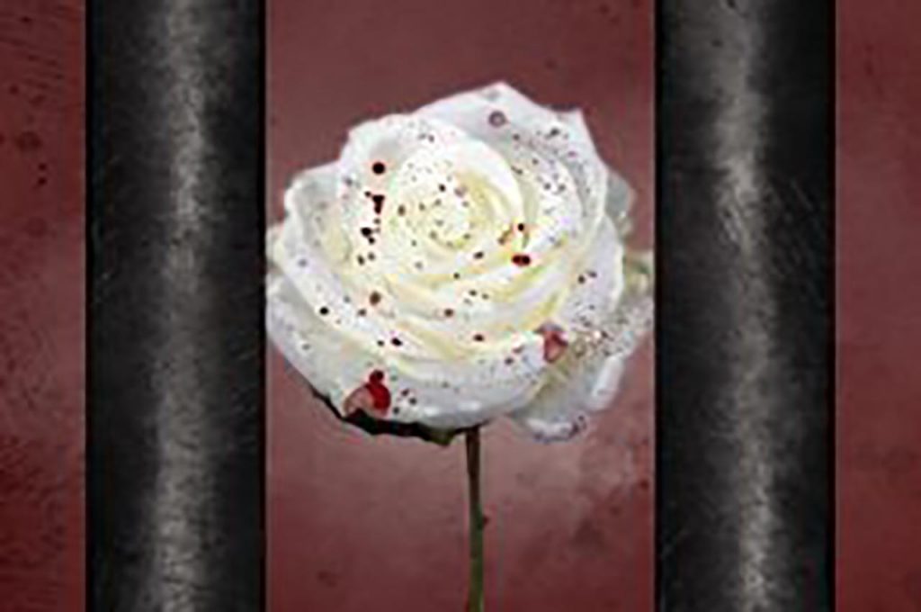 Artistic blood-splattered white rose behind prison bars.