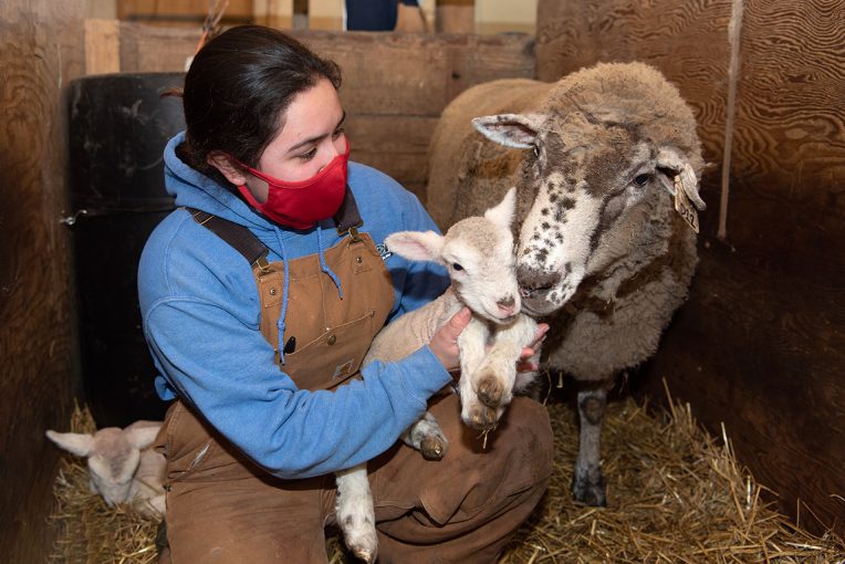 Graduate student Julissa Navarette '19 holds a newborn at the University Farm.