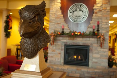 bust of redbird head in front of fireplace