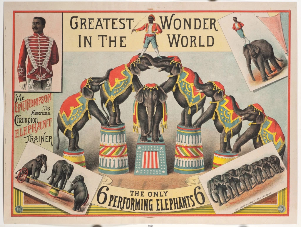 A circus poster featuring Mr. Eph. Thompson the American champion elephant trainer. Text on the poster says "The Greatest Wonder in the World. The only 6 performing elephants. Lithograph 1886 courtesy Rainer Lotz. https://jeffreygreen.co.uk/140-eph-thompson-the-elephant-trainer-1859-1909/