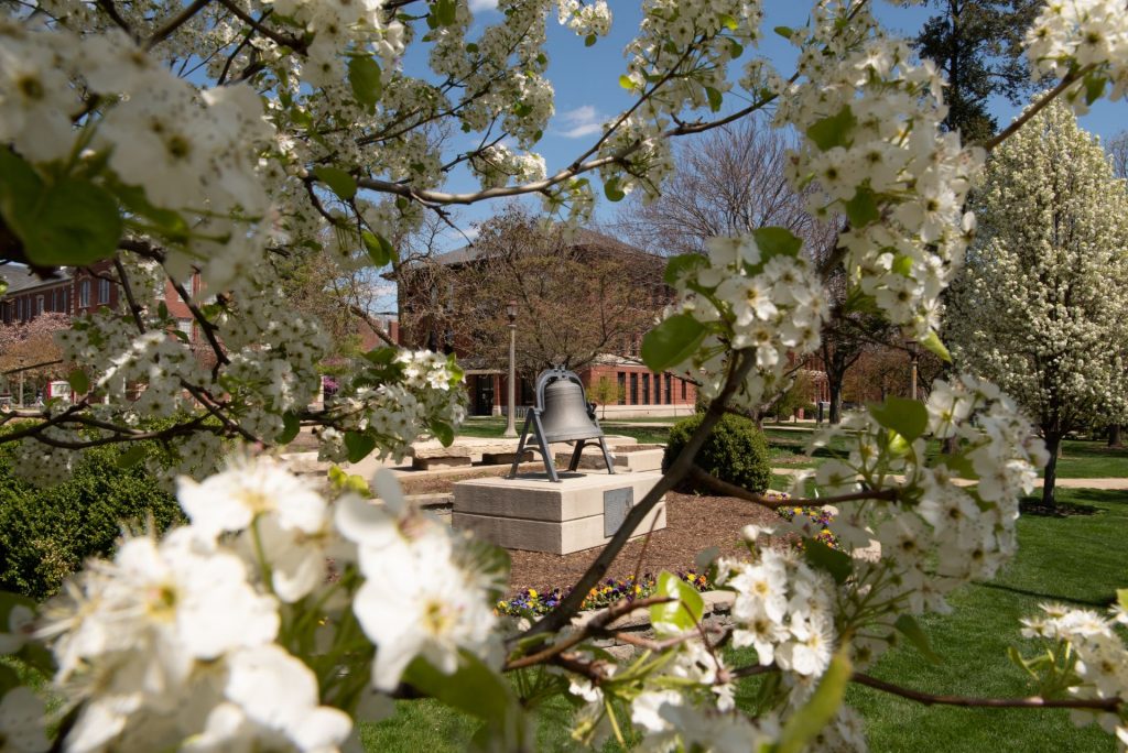 Bell on the Quad with flowers in the forefront