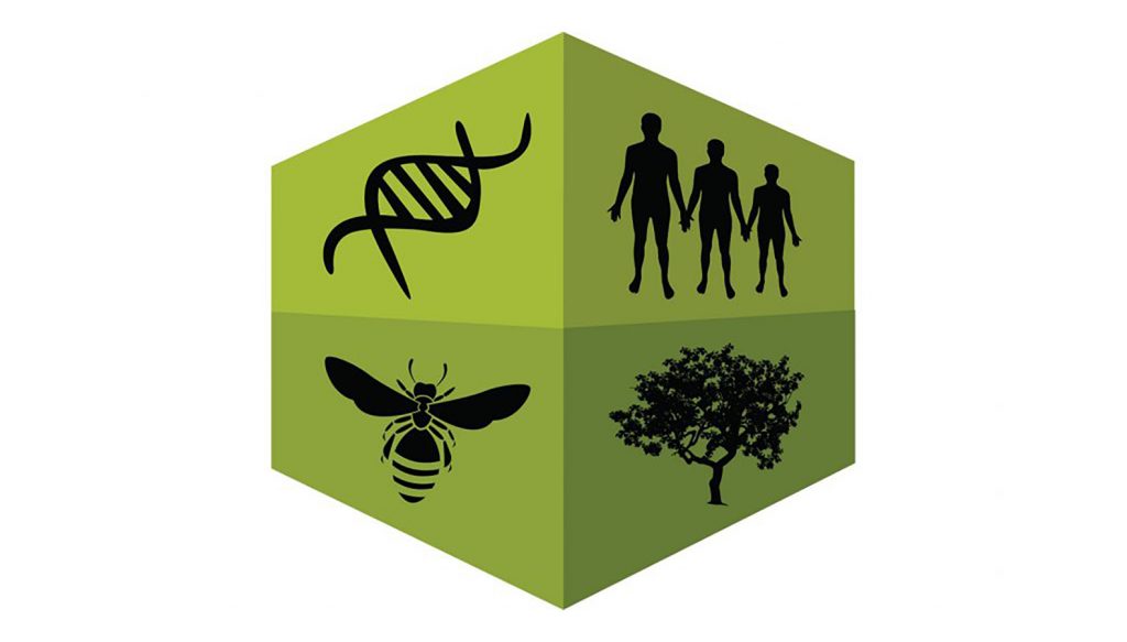 logo for biomath alliance