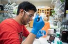 Shariq Zaman in the laboratory where he spent the summer on a research project examining the parastic disease Leishmania.