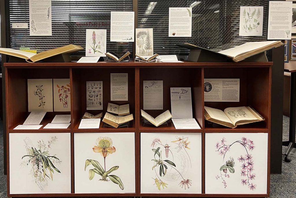A photograph of an exhibit display in the Reading Room of Milner Library's Special Collections Department with prints and books on display