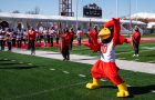 Reggie Redbird on the football field in front of color guard members