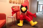 Reggie Redbird holding up a sign that reads "Going to Grad School".