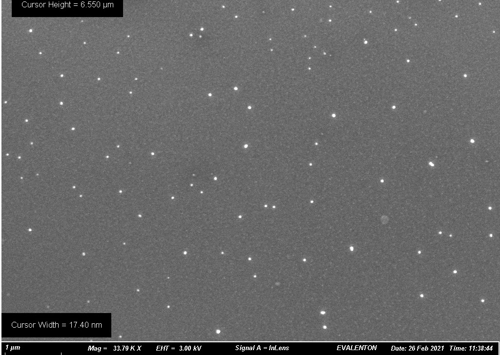microscopy image of silicon particles