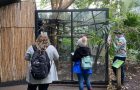 Two students stand in front of a glass primate exhibit at the zoo. A third student stands to the side of the exhibit, writing on a sheet of paper held against the glass wall.