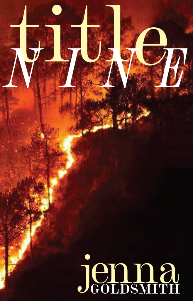 Book cover with orange and yellow line of a fire disaster traveling up a hill with title and author name in yellow and white overlay