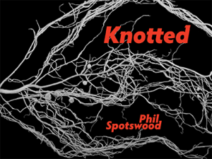 Book cover with black background with red text for title and author name surrounded by gray-white strands as if from a branch