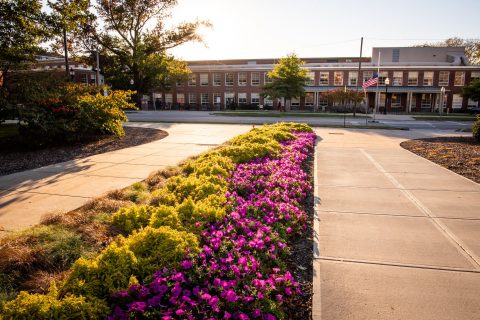 Metcalf School in the background with flower bed in the foreground