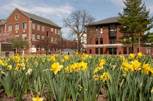 Spring flowers in front of Moulton Hall