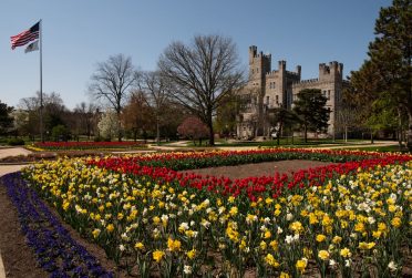 yellow and red flowers in front of a castle-like building