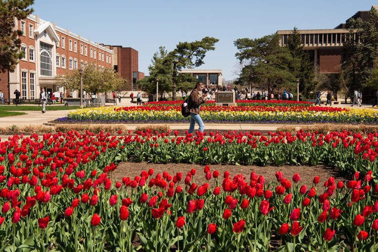 students walking on the quad in spring