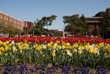 Flowerbeds on the Quad.