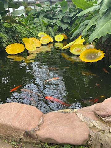 Koi pond at the Garfield Park Conservatory.