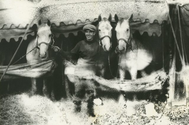 Black and white photograph of a smiling man in a cap holding the bridles of three horses standing partially under a tent awning. Scratches and dots caused by damage to the emulsion appear over much of the image.]
