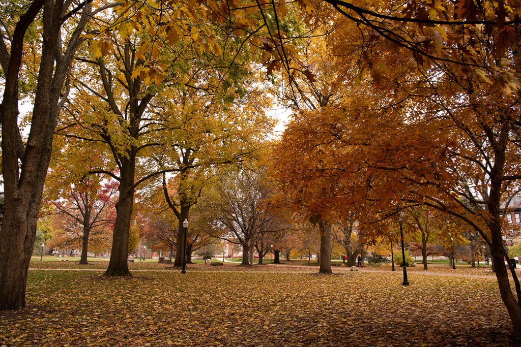 image of the Quad in fall