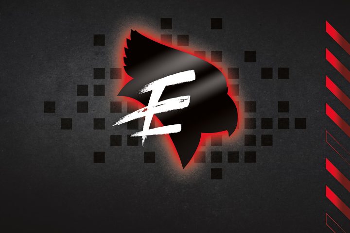 Redbird Esports icon
