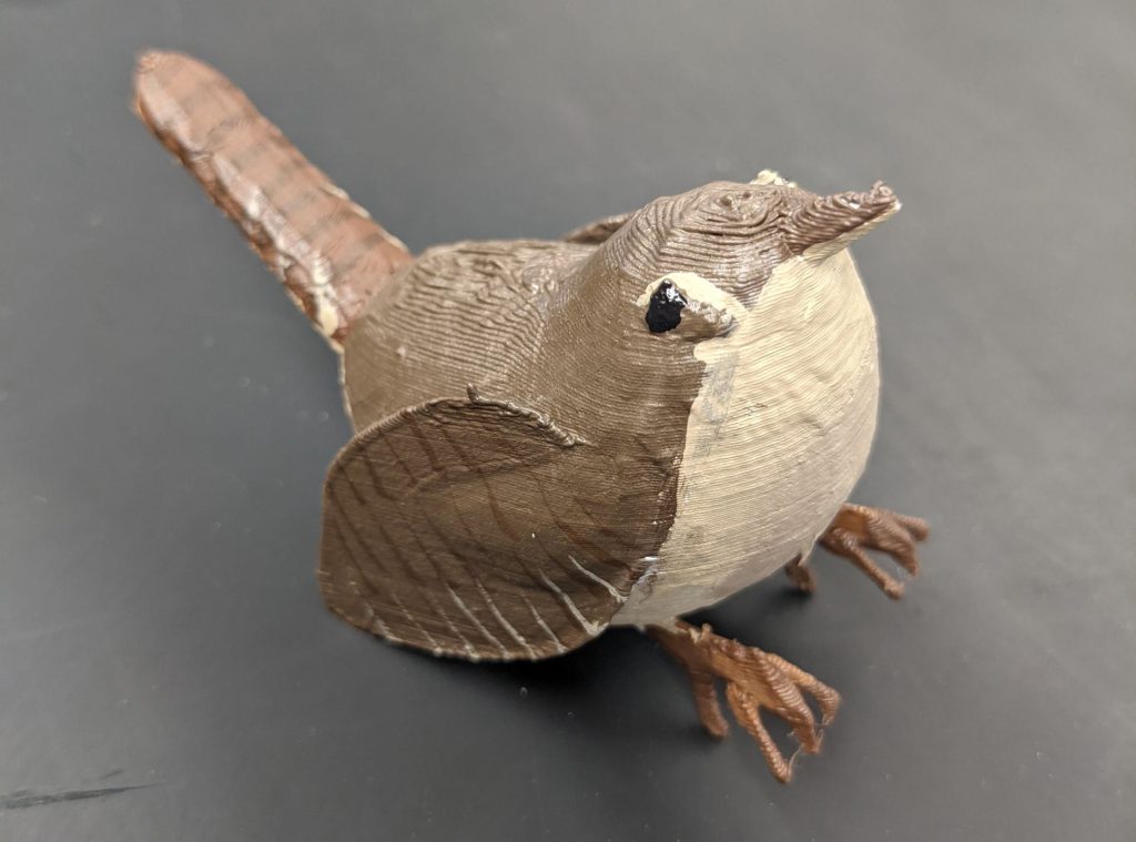 Here are one of the five 3D model house wrens that Rachael DiSciullo used in her research.