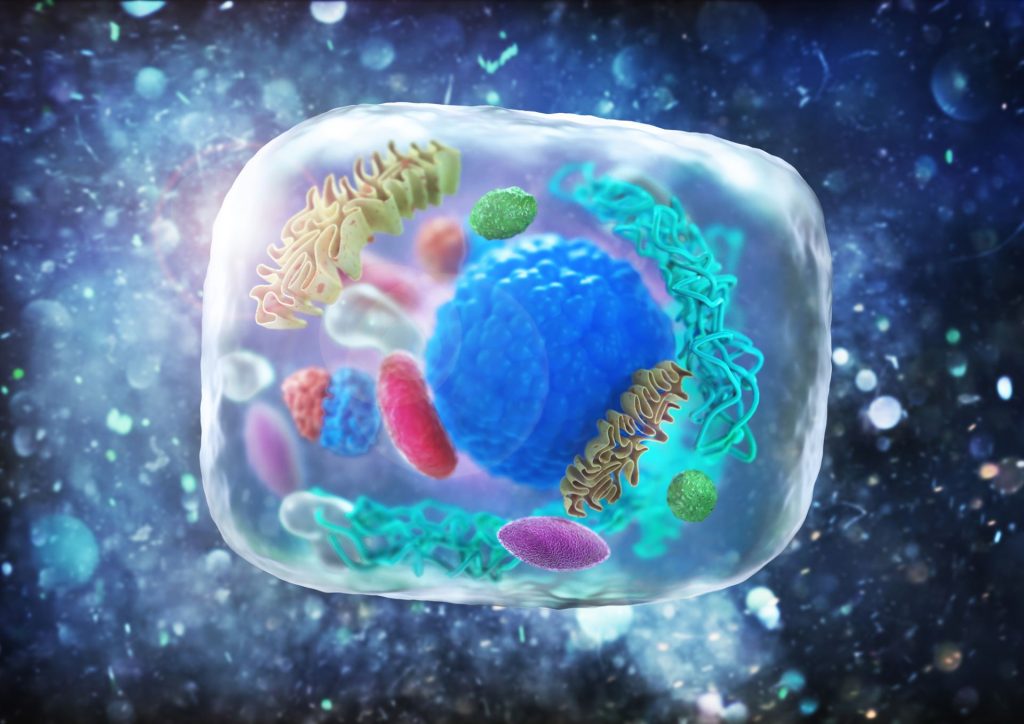 Human (animal) cell under microscope. 3d illustration