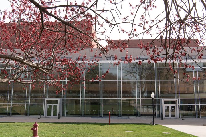 Center for the Performing Arts in spring. Photo taken standing under tress that are just starting to bloom.