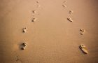 Two sets of footprints in sand, walking away from viewer.