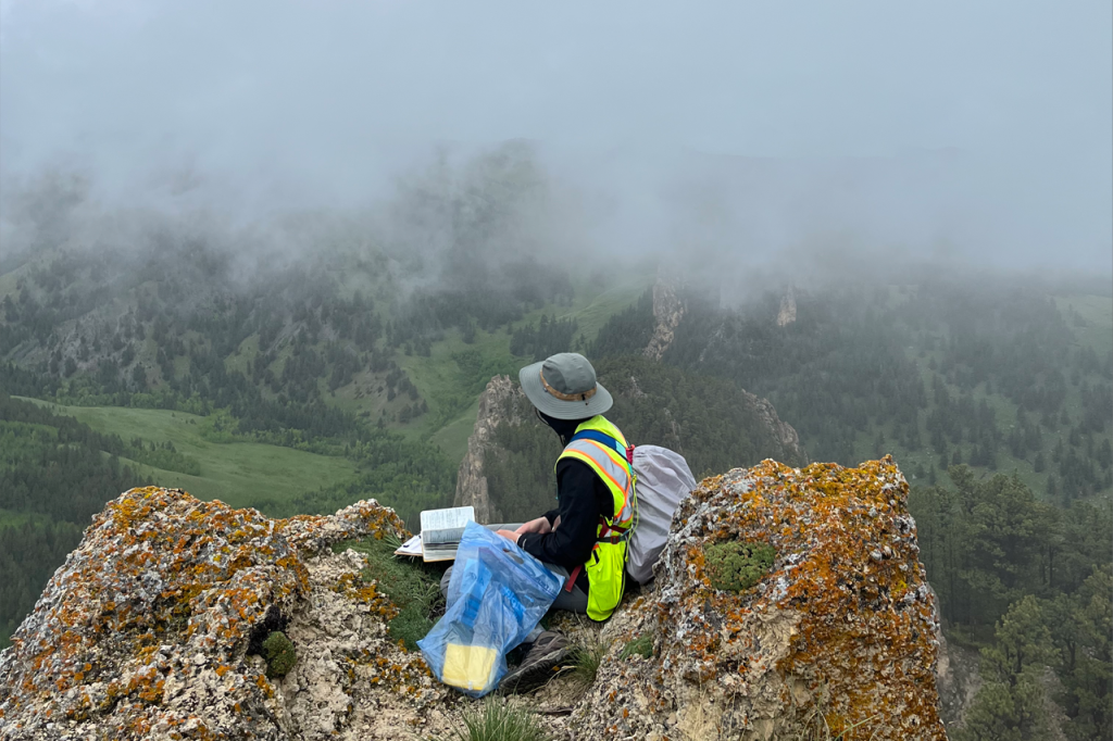 A student sits at the top of a mountain.