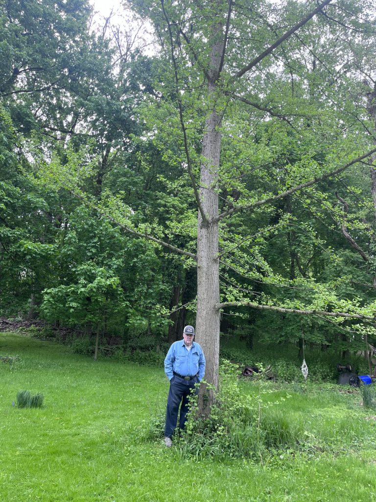 Man standing next to tree