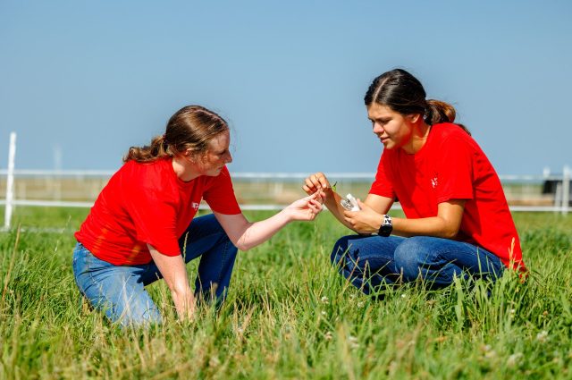 two women kneeling in a farm field while inspecting grass