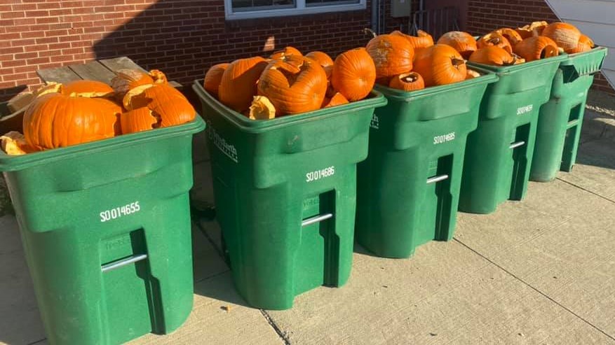 Five green compost bins full of pumpkins