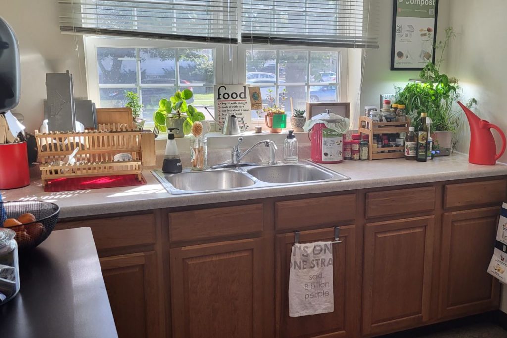 a kitchen counter with a sink and plants