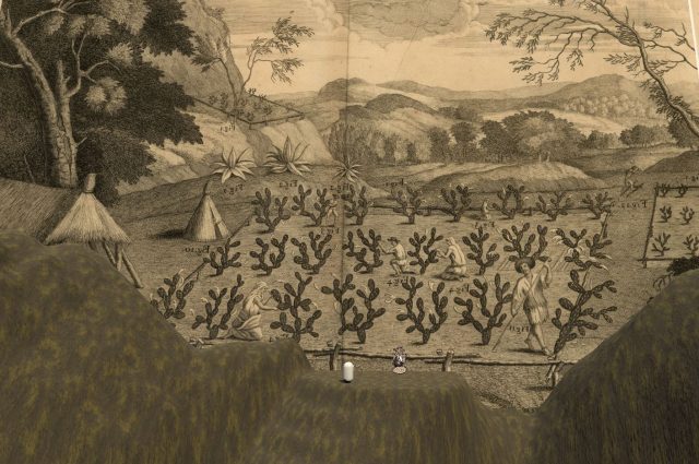 Illustration of farmers tending to crops
