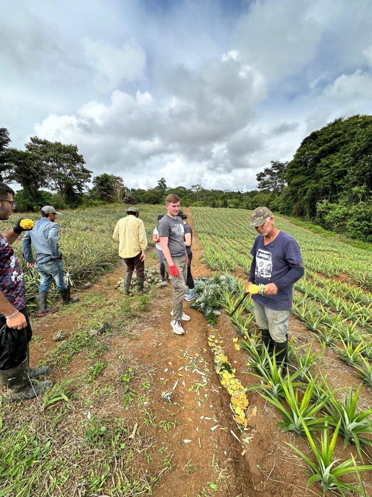 Volunteers enjoy fresh pineapple that they helped a local Costa Rican farmer pick