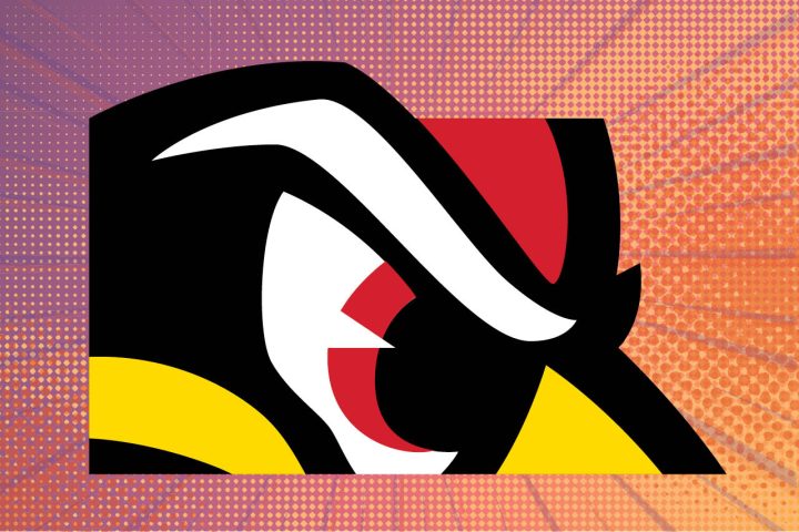 closeup animated cartoon style profile image of a redbird focused on the eye area