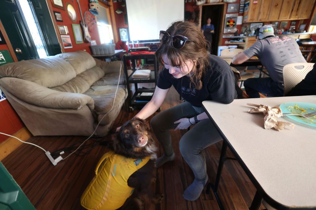 person petting a brown dog wearing a life jacket in a classroom 