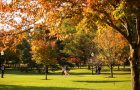 Photograph of ISU arboretum in the fall.