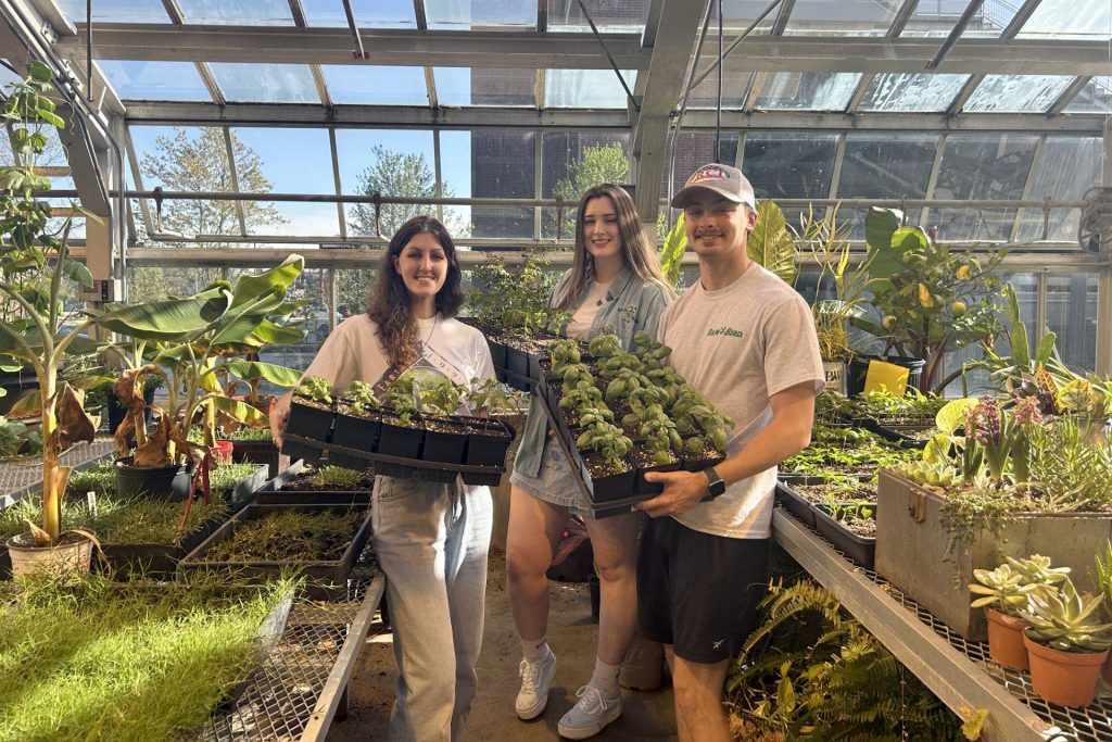Three students stand together, holding trays of plants, in a greenhouse