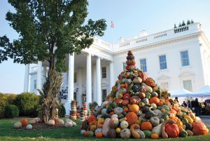 pumpkins at White House