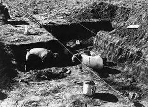 Illinois State University students study the remains at the Noble-Wieting archaeological site in 1972. (Caption and photo courtesy of the McLean County Museum of History)