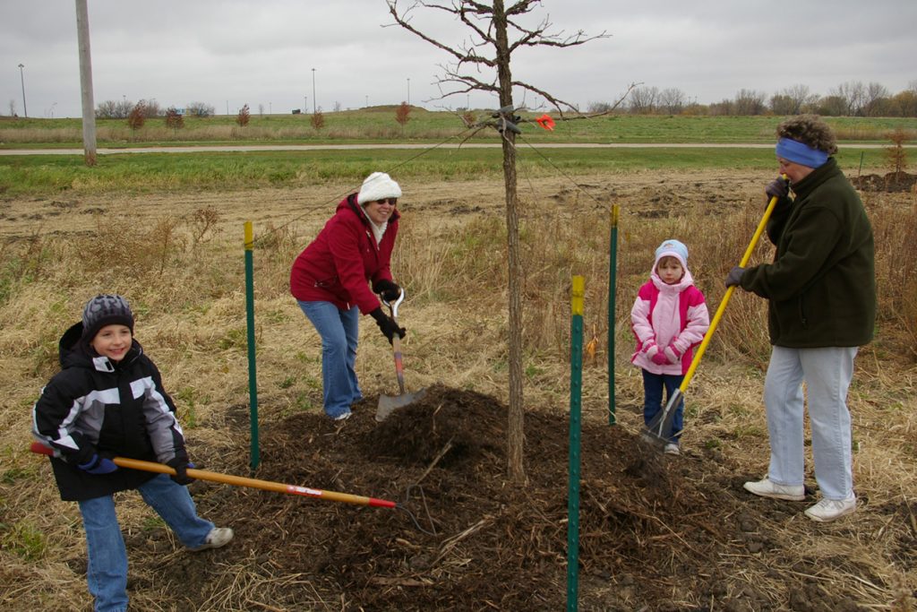 A family of four shoveling dirt around a young tree