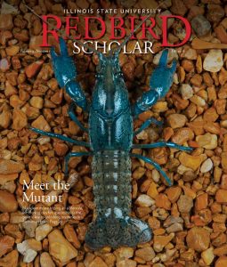 Redbird Scholar cover Volume 4 Issue 1 Fall 2018 Meet the Mutant: ISU scientists are hoping an all-female, self-cloning crayfish species holds the genetic key to unlocking mysteries in the human brain. Page 20
