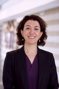 Aysen Bakir in the College of Business 