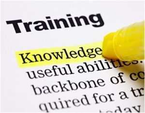 Document with highlighter with the following words: Training Knowledge useful abilities backbone of