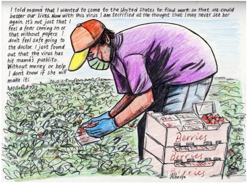 Text on image of farm worker reads: I told mama that I wanted to come to the United State to find work so that we could better our lives. Now with this virus I am terrified at the thought I may never see her again. It’s not just that I feel a fever coming on or that without papers I don’;t feel safe going to the doctor. I just found out that the virus has hit mam’s pueblito. Without monet or help I don’t know if she will make it